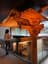 Traditional and modern architecture