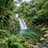 Yanbaru Forest and Cape Hedo